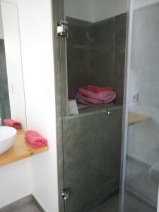a glass shower door in a bathroom with pink towels at Agua y Manto in La Pedrera