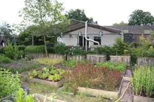 um jardim em frente a uma casa em Garden House, Private studio apartment with wifi and free parking for 1 car em Weesp