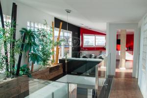 a living room with plants and a glass floor at Atic luxe Benicarló in Benicarló