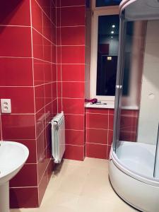 リヴィウにある33/Kotliarska Moisha Houseの赤い壁のバスルーム(シンク、シャワー付)