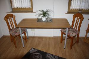 a wooden table with two chairs and a potted plant at Ferienwohnung Eva und Alexander in Hirschbach