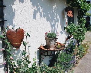 a garden with flowers and plants on the side of a building at Ferienwohnung Auszeit in Ausnang in Leutkirch im Allgäu