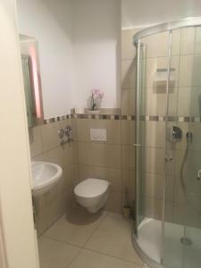 a bathroom with a shower and a toilet and a sink at Ferienwohnung Loh 2 in Dießen am Ammersee
