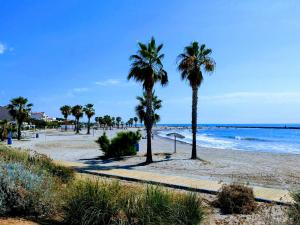 uma praia arenosa com palmeiras e o oceano em Residencial La Llosa em La Llosa