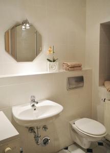 a bathroom with a sink and a toilet and a mirror at Ferienwohnung am Rathaus in Heidenau