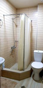 une salle de bain avec douche et toilettes dans l'établissement Apartment G&G, à Tbilissi 12 autres photos
