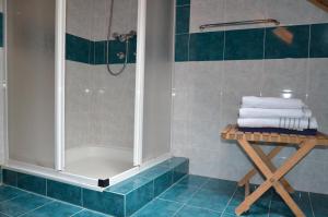 a shower in a bathroom with blue tiles at Holiday House Bohinj in Bohinj +16 photos