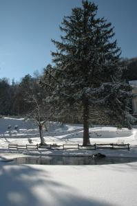 a snow covered park with a tree and a fence at Appart Résidence Le Chili - Lit fait - Parc - Quartier thermal in Luz-Saint-Sauveur