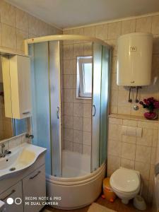 a bathroom with a shower and a toilet and a sink at Apartment Bernarda in Igrane
