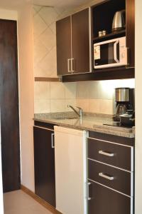 cocina con fregadero y microondas en Nothofagus Apartments en San Carlos de Bariloche