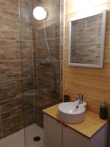 uma casa de banho com um lavatório e um chuveiro em Bel appartement cosy - PIED DES PISTES avec local à ski - 6 personnes em Montclar