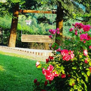 een bankje in een park met roze bloemen bij Villa Romele in Pisogne