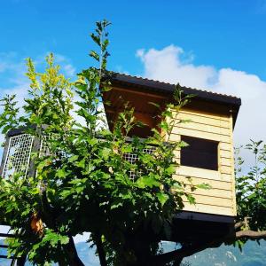 una casa en el árbol sentada en la parte superior de un árbol en Villa Romele, en Pisogne