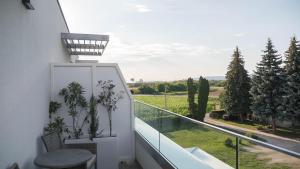 Zahrada ubytování Hotel Magdalena