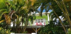 een groen gebouw met palmbomen ervoor bij La Belle Créole in Sainte-Anne