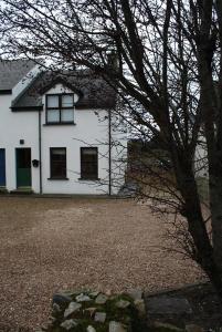 Una casa blanca con un árbol delante. en Anchor, Dunfanaghy, en Dunfanaghy