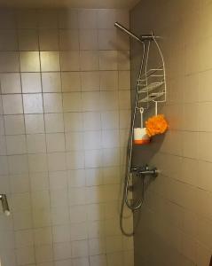 a shower with a shower head in a bathroom at ADOBE TYPICAL COTTAGE in AlpalhÃ£o