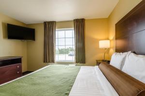 um quarto de hotel com uma cama grande e uma janela em Cobblestone Inn & Suites - Oberlin em Oberlin