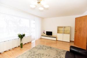 a living room with a television and a vase of flowers at S-HOF Appartment in Sonnenbühl