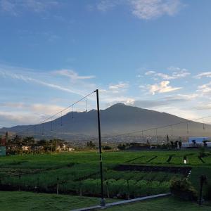 einen Blick auf ein Feld mit einem Berg im Hintergrund in der Unterkunft Villa Mutiara Batu in Batu