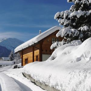 Chalets Trafögl v zimě