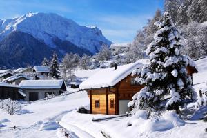 Chalets Trafögl v zimě