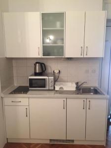 Kuchyň nebo kuchyňský kout v ubytování Apartment Jelas
