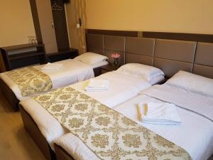 Billede fra billedgalleriet på Hotel Caras i Oraviţa