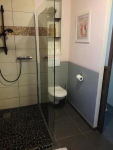 uma casa de banho com um WC e uma cabina de duche em vidro. em gîte papillon 4 em Civray-de-Touraine