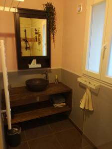 La salle de bains est pourvue d'un lavabo et d'un miroir. dans l'établissement gîte papillon 4, à Civray-de-Touraine