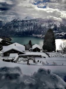 une maison enneigée avec un lac et des montagnes dans l'établissement Hotel Sterne, à Beatenberg