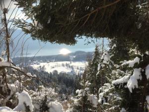 Mynd úr myndasafni af Reinwalds Almhütte í Millstatt