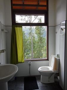 a bathroom with a sink and a toilet and a window at Ella Mount Relax Cottage in Ella
