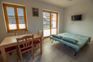 TV a/nebo společenská místnost v ubytování Apartments & Rooms Pr' Skalovc