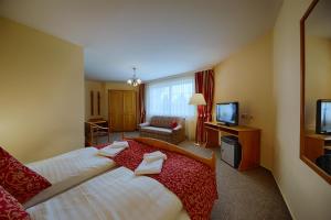 pokój hotelowy z łóżkiem i telewizorem w obiekcie Hotel Auerhahn w mieście Masserberg
