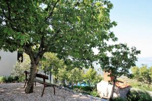 Zahrada ubytování Villa Beloved near Baska Voda, private pool