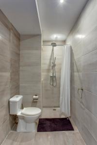 a bathroom with a toilet and a shower at Chalet Apartments in Sliema