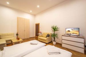 TV a/nebo společenská místnost v ubytování Vojtesska Apartment By Ruterra