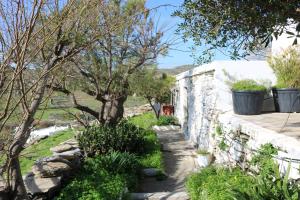Garden sa labas ng Avgoustis' stone house
