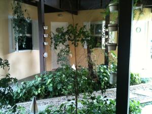 Um jardim em Pousada Villa Maritima