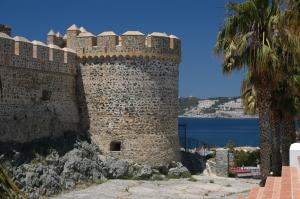 a castle on a hill with a palm tree at Hotel Victoria Centro in Almuñécar +33 photos