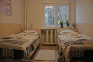 two beds in a room with a window at Spacious 2-bedroom apartment with luxury feel in Novi Sad