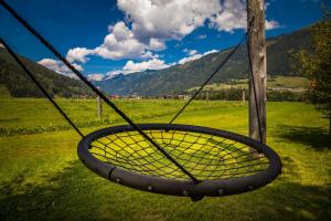 a tire swing hanging from a pole in a field at Urbangut in Sankt Michael im Lungau