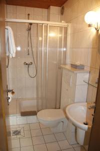 a bathroom with a shower and a toilet and a sink at Landhaus Am Westerwald in Martinfeld +26 photos