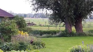 Zahrada ubytování B&B de Oude Hofstee