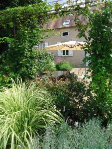 einen Garten mit Pflanzen und einem Regenschirm vor einem Haus in der Unterkunft La Maison du Puits in Entrains-sur-Nohain