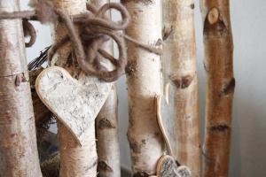 Foto dalla galleria di Landhaus Am Westerwald a Martinfeld