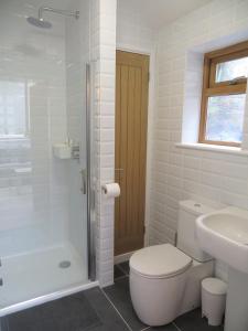 a bathroom with a toilet and a shower and a sink at Quay Courtyard in Charlestown
