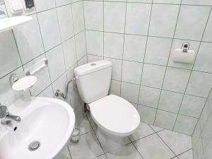 Kúpeľňa v ubytovaní Willa RYŚ