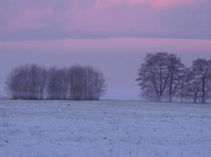 Naturlandschaft in der Nähe der Ferienwohnung